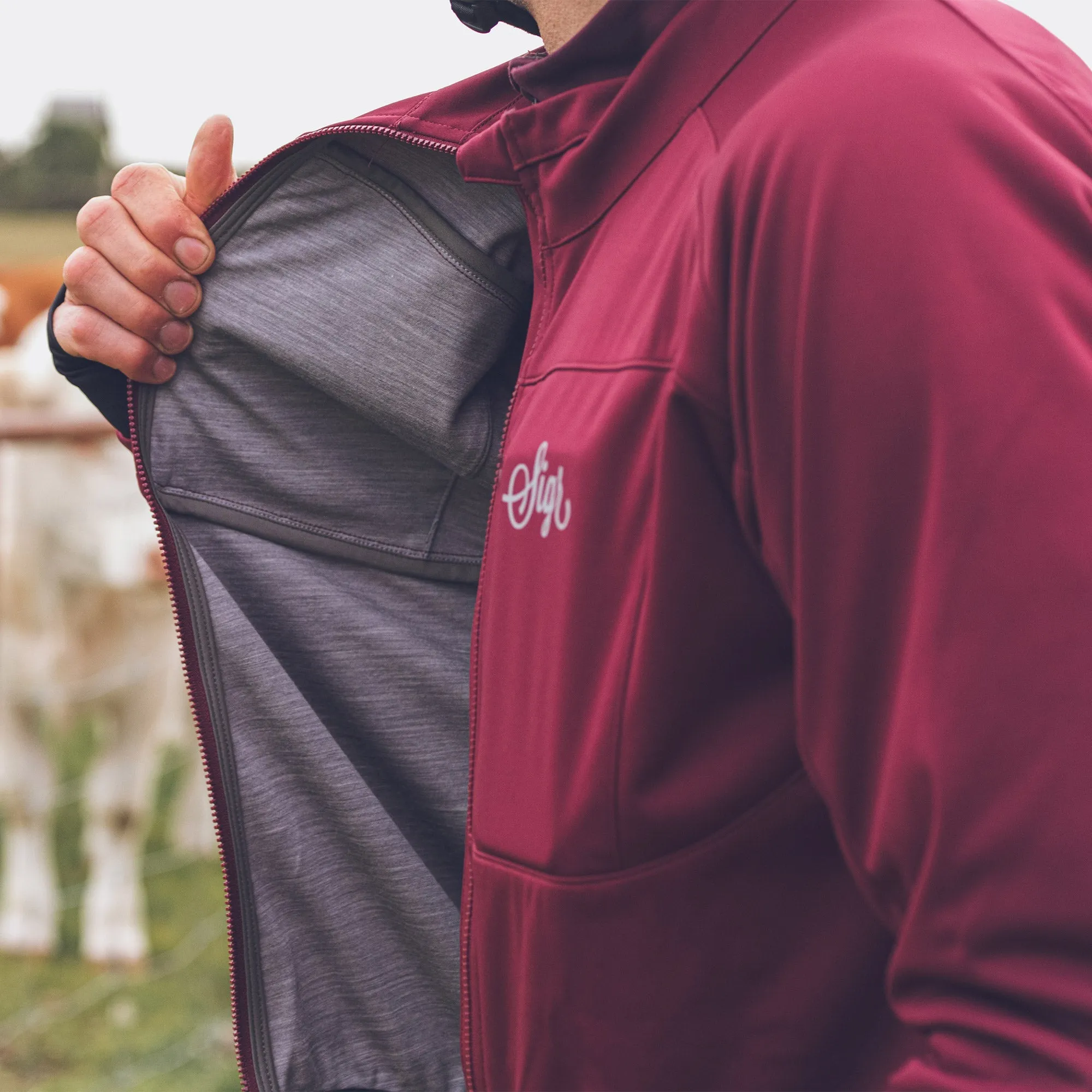 Gotlandsleden Tour Men's Deep Red Merino Softshell Cycling Jacket
