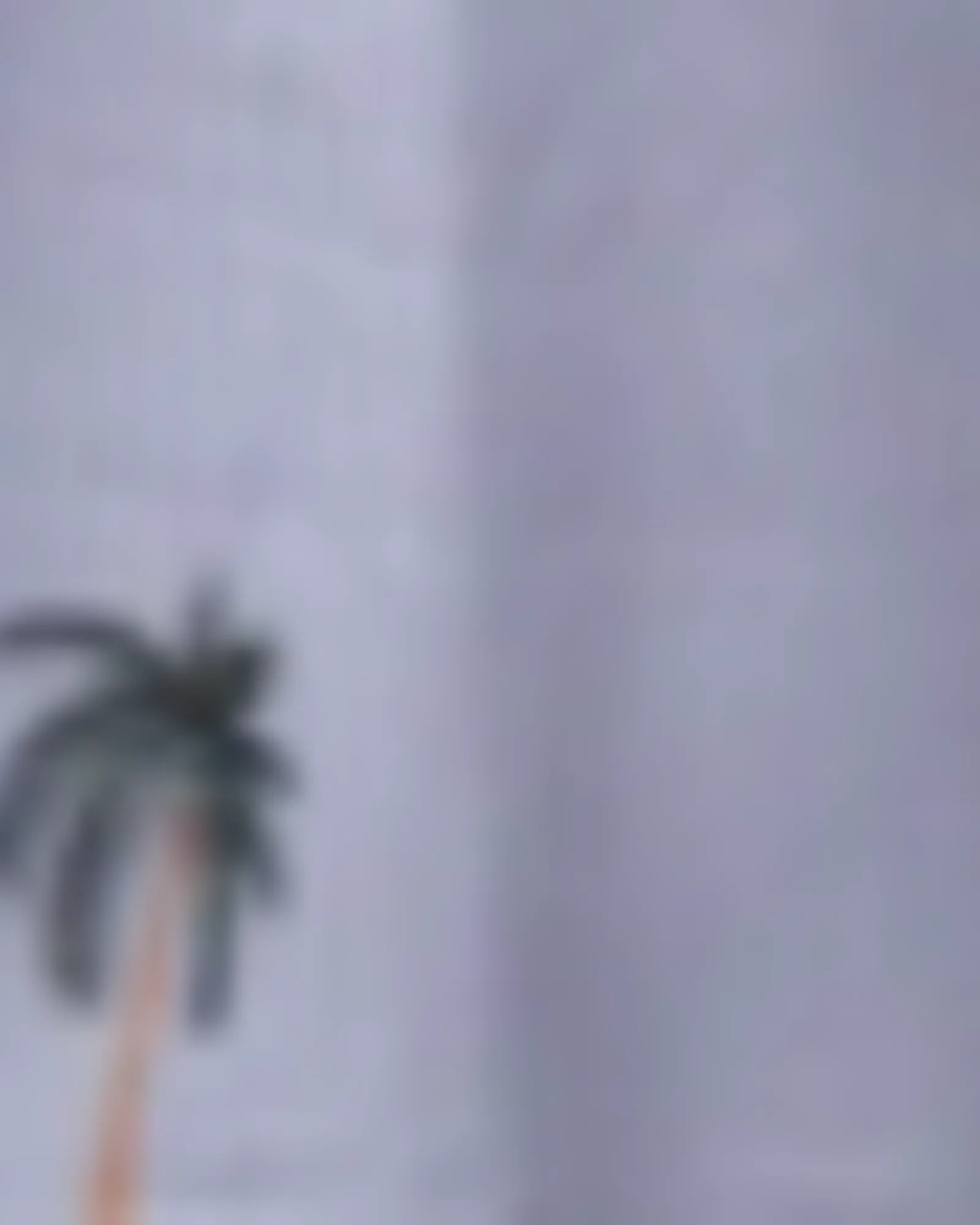 Reagan Boyfriend Cover Up | Palm Tree Print