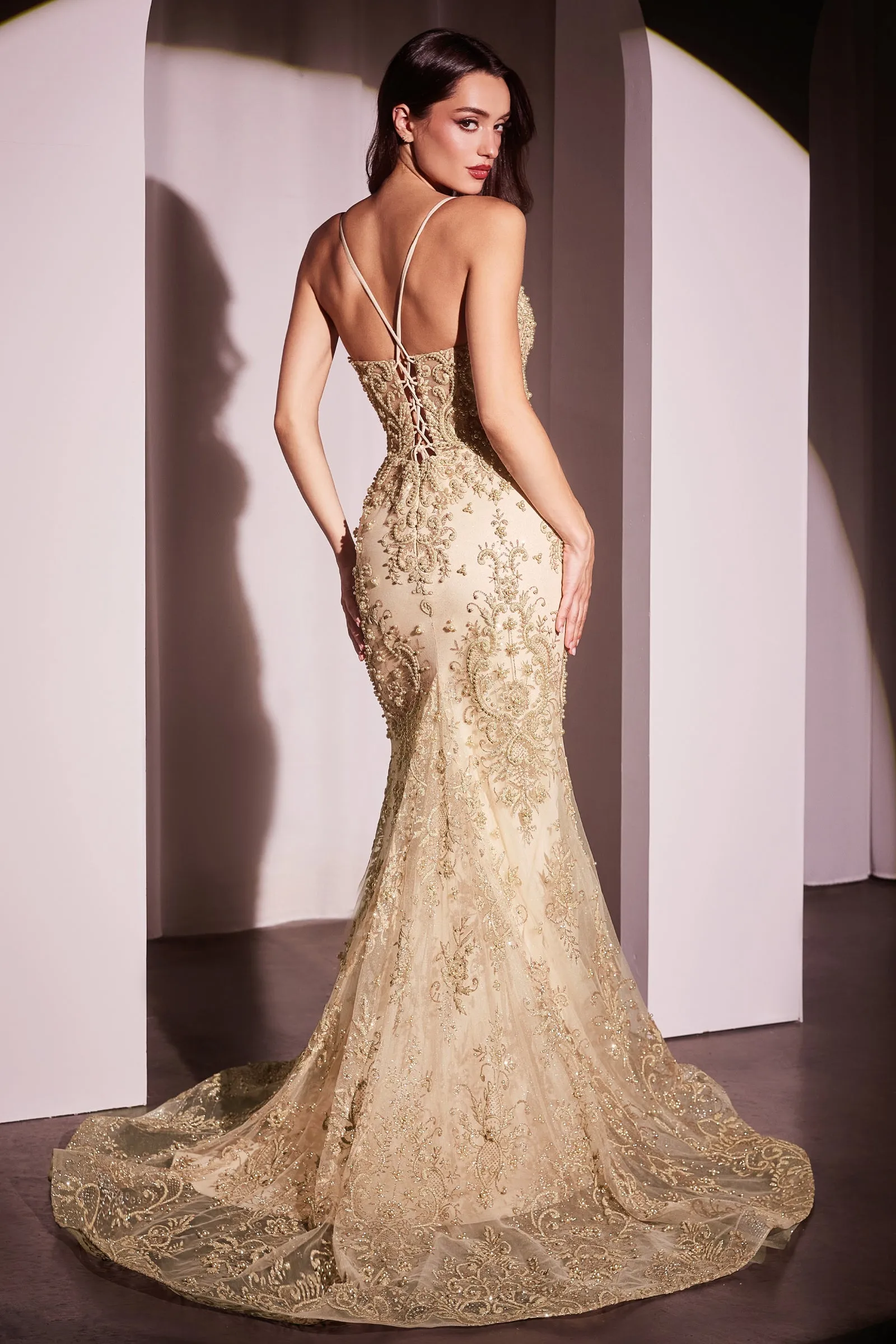 Teresa Embellished Maxi Gown (Gold)