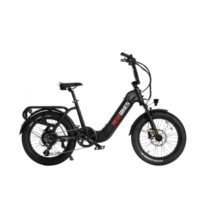 The Big Cat Revi Runabout 2 Electric Cargo Bike
